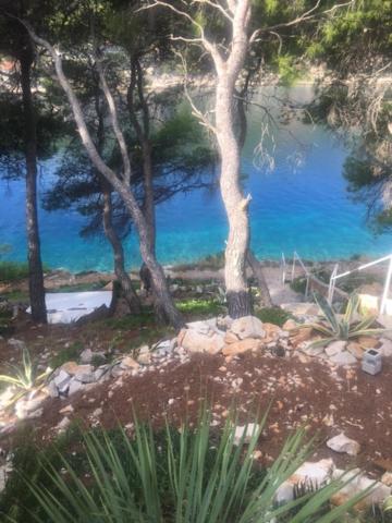 By The Sea With Private Heated Hydromassage Pool Apartment *
