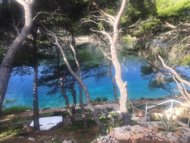 Apartment By The Sea With Private Heated Hydromassage Pool Zirje