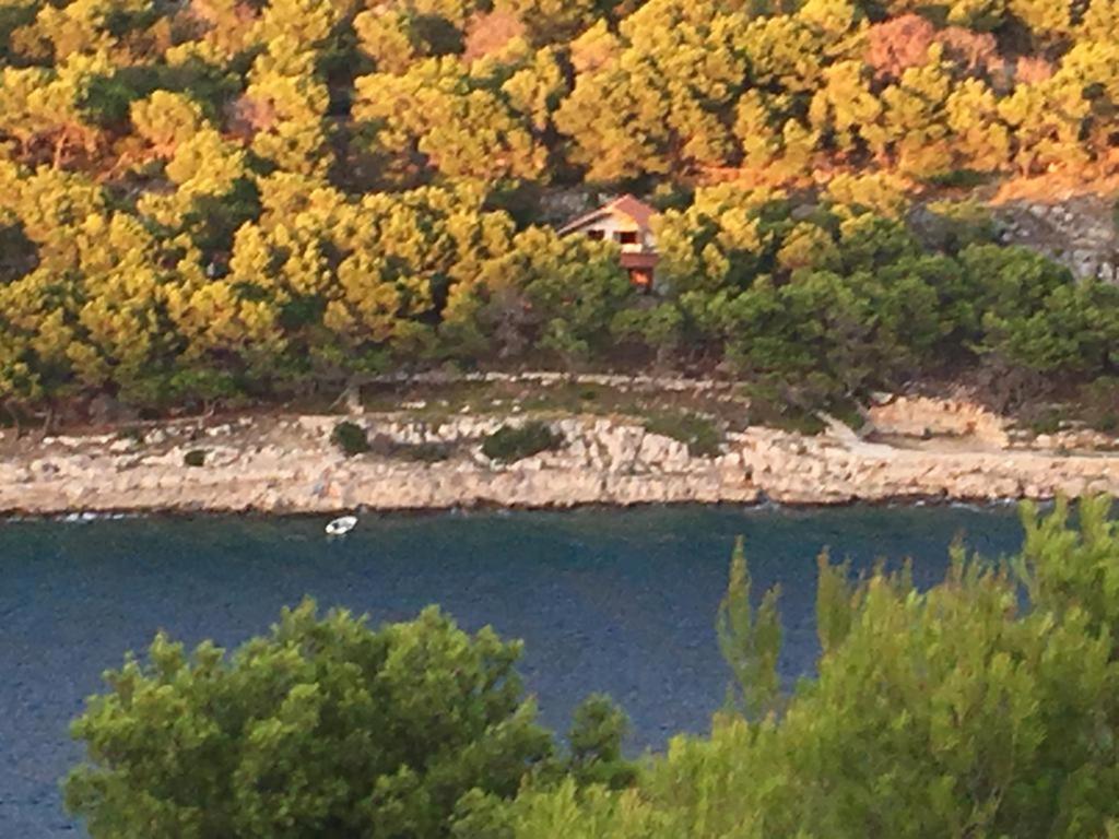 Apartment By The Sea With Private Heated Hydromassage Pool Zirje