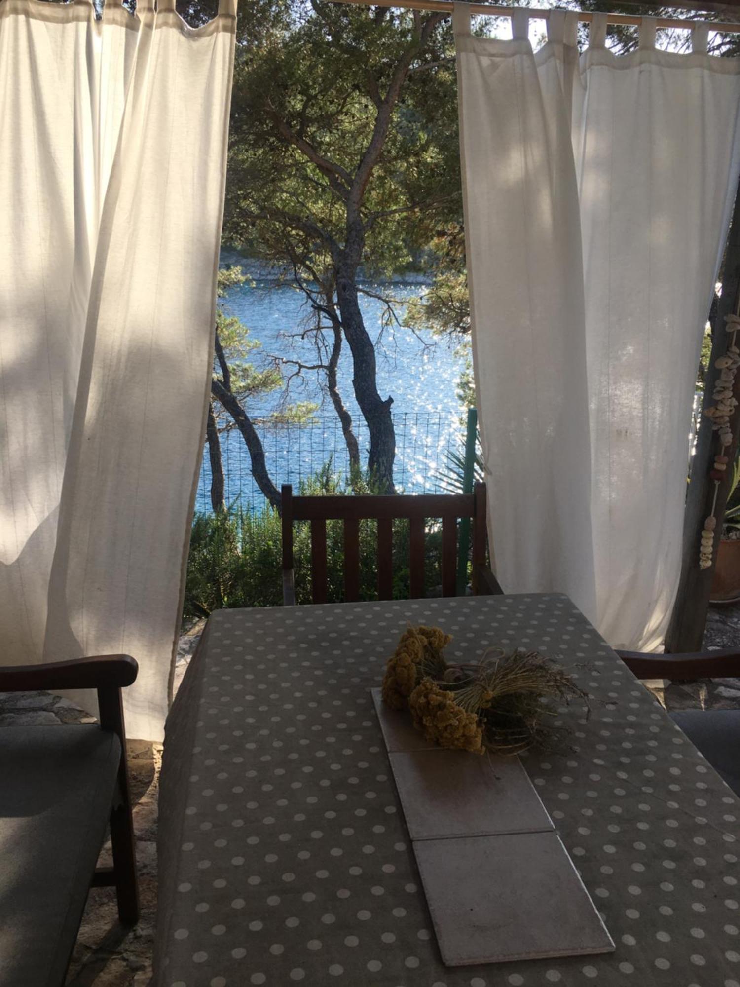 By The Sea With Private Heated Hydromassage Pool Apartment Zirje